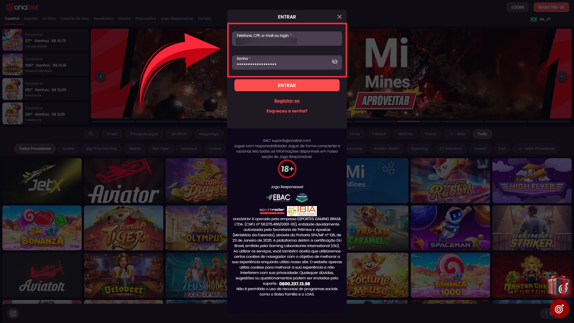 Insira suas Credenciais de acesso, digitando o e-mail registrado e a senha segura que você definiu ao criar sua conta na Onabet.
